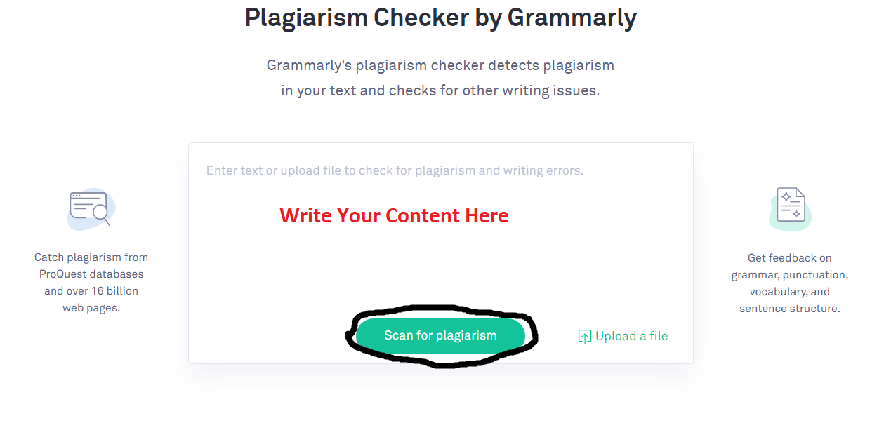 grammarly plagiarism checker free