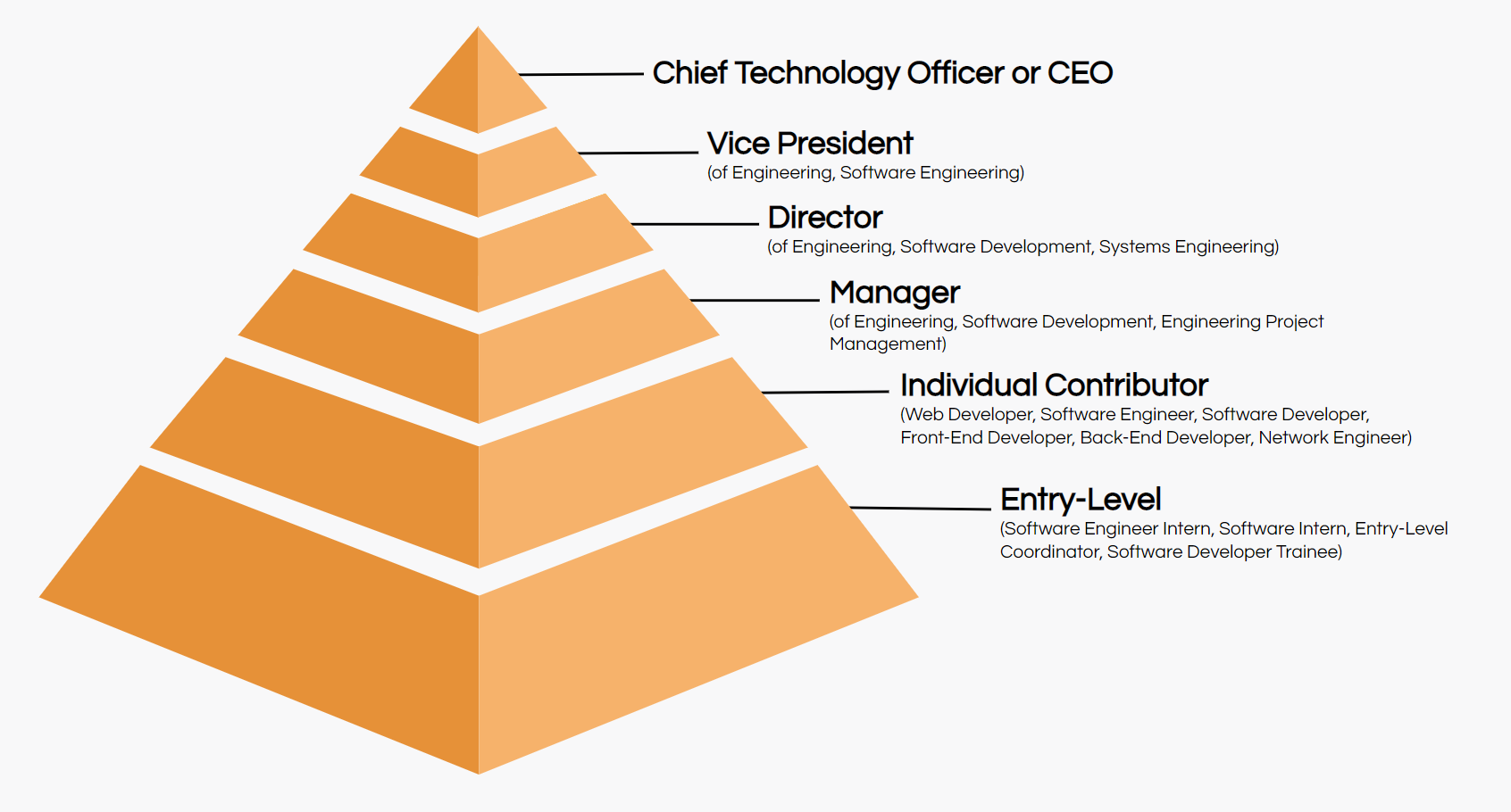 List Of All Job Roles Job Titles In Software And IT Companies 