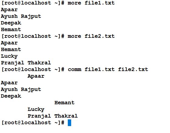 Shell Script to List All IP - GeeksforGeeks