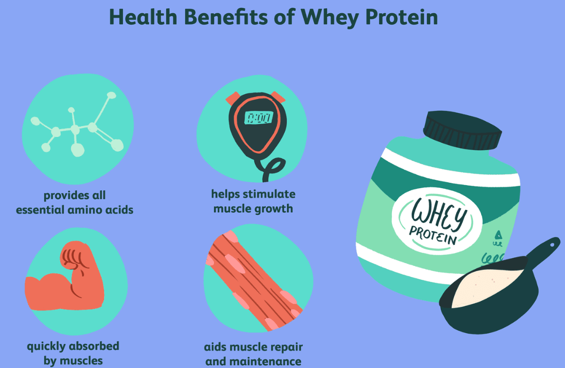 What is whey protein and is it good for you? Benefits, what to know