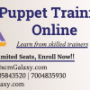 puppet-training-online (3)